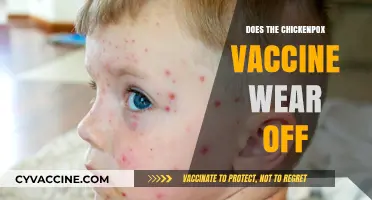 Does the Chickenpox Vaccine Wear Off? Longevity and Booster Facts