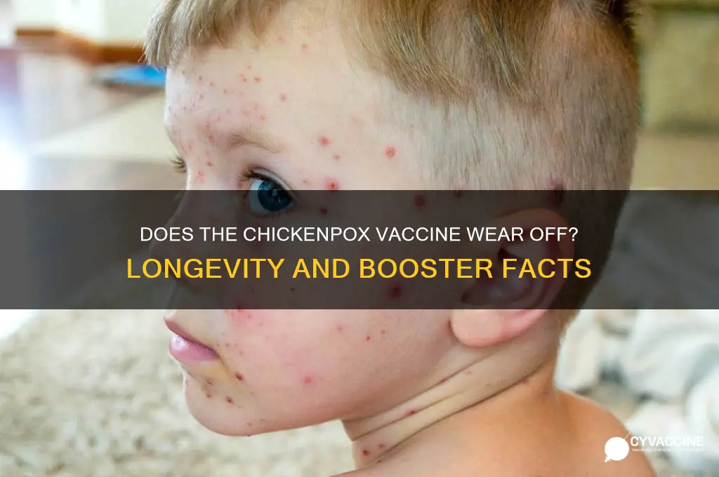 does the chickenpox vaccine wear off