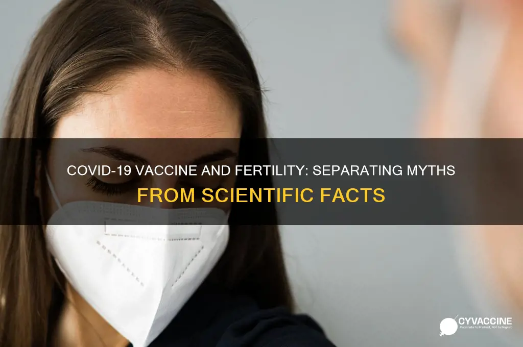 does the cocid vaccine affect fertility