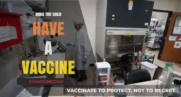Can We Vaccinate Against the Cold? Exploring the Science and Possibilities