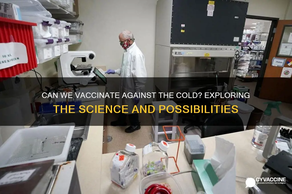does the cold have a vaccine