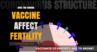 Corona Vaccine and Fertility: Separating Myths from Scientific Facts