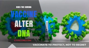 Does the COVID-19 Vaccine Alter Your DNA? Facts vs. Myths