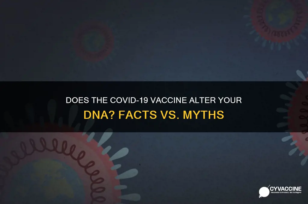 does the corona vaccine alter dna