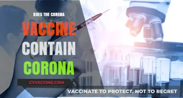 Does the COVID-19 Vaccine Contain the Coronavirus? Facts Explained