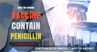 Does the COVID-19 Vaccine Contain Penicillin? Separating Fact from Fiction