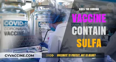 Does the COVID-19 Vaccine Contain Sulfa? Debunking the Myth