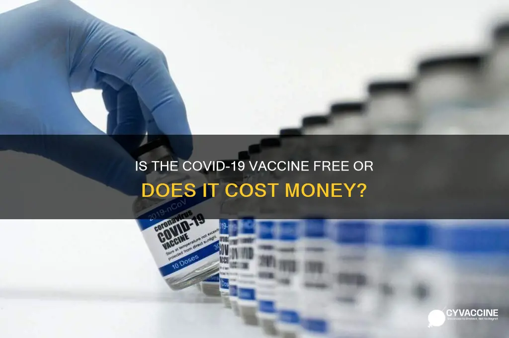 does the corona vaccine cost money
