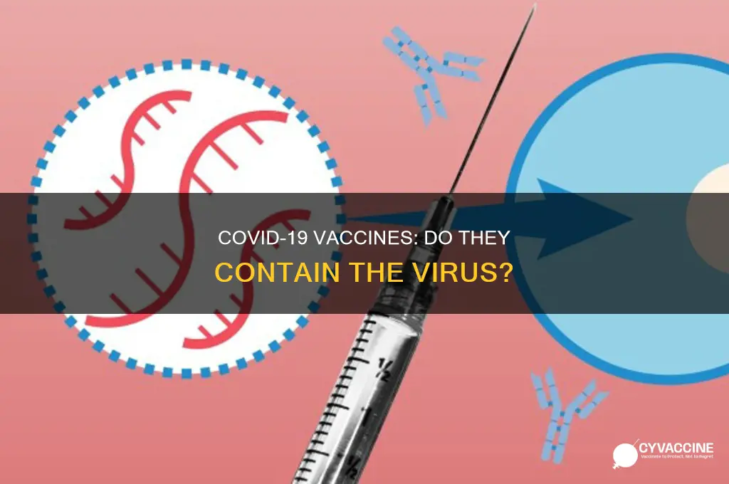 does the corona vaccine have corona in it