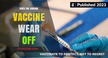 Does COVID-19 Vaccine Immunity Fade Over Time? What We Know