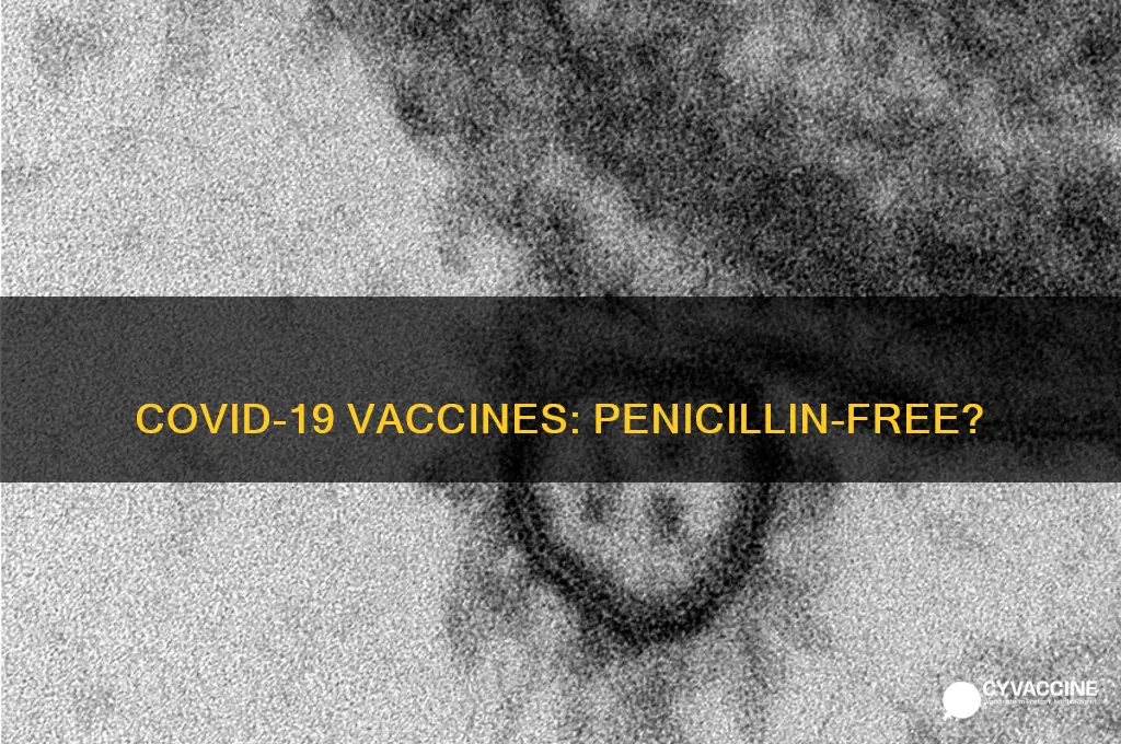 does the corona virus vaccine have penicillin in it
