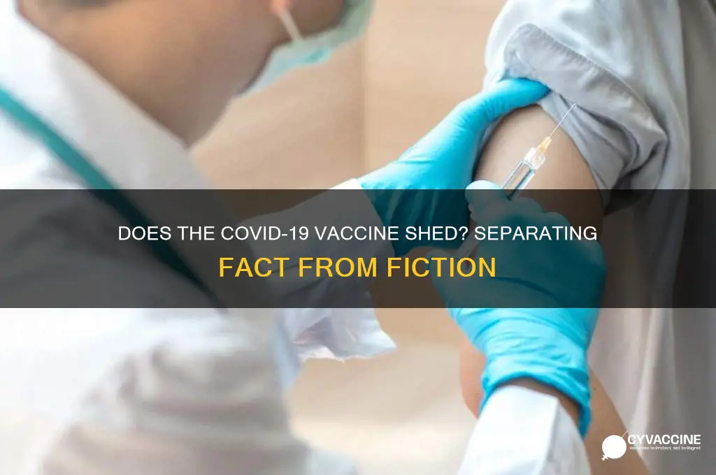 does the corona virus vaccine shed