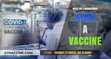 Coronavirus Vaccine: Current Status, Development, and What You Need to Know