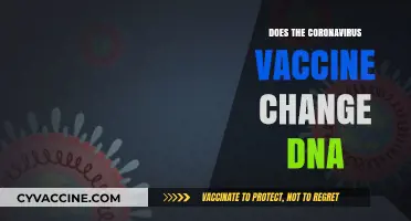 Does the COVID-19 Vaccine Alter Your DNA? Separating Fact from Fiction