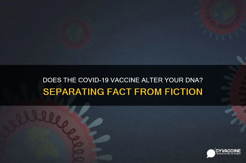 does the coronavirus vaccine change dna