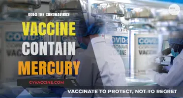 Does the Coronavirus Vaccine Contain Mercury? Facts vs. Myths