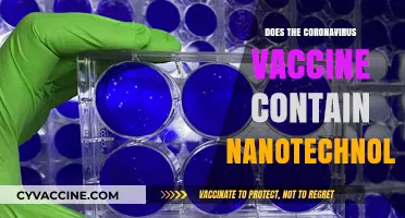 Unveiling the Truth: Nanotechnology in Coronavirus Vaccines Explained
