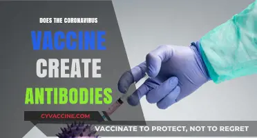 Does the Coronavirus Vaccine Generate Antibodies? Understanding Immune Response