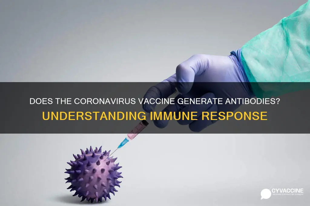 does the coronavirus vaccine create antibodies