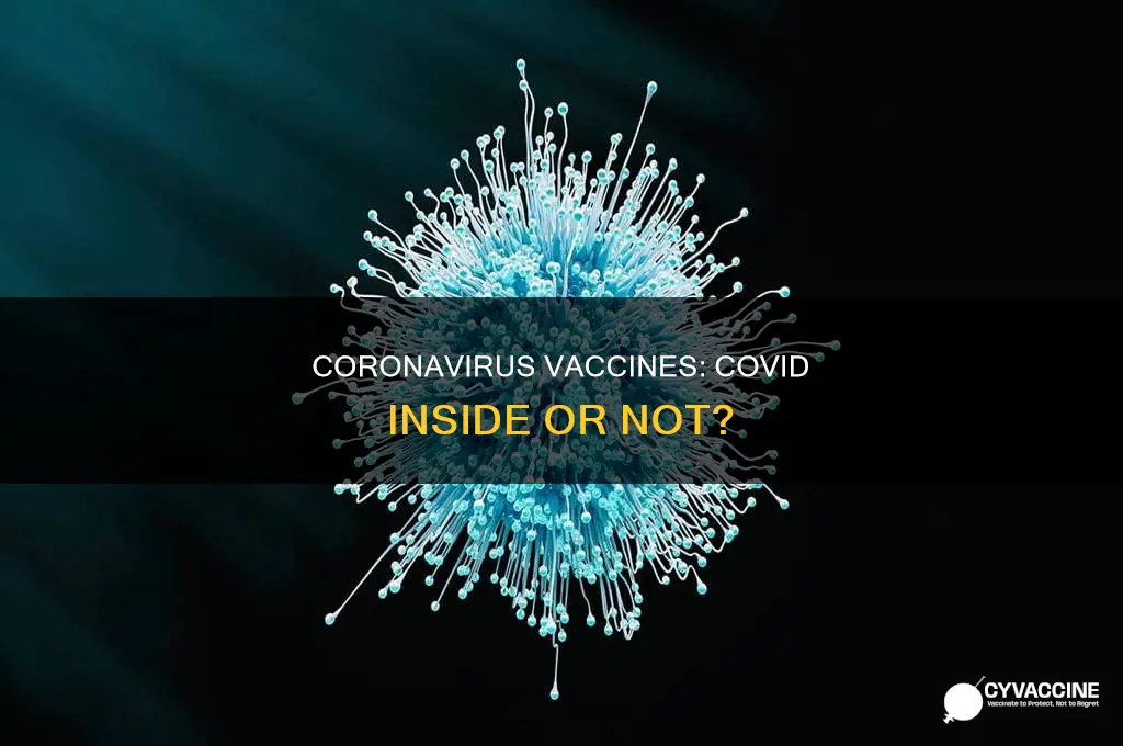 does the coronavirus vaccine have coronavirus in it