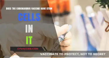 Coronavirus Vaccine: Stem Cell Connection?