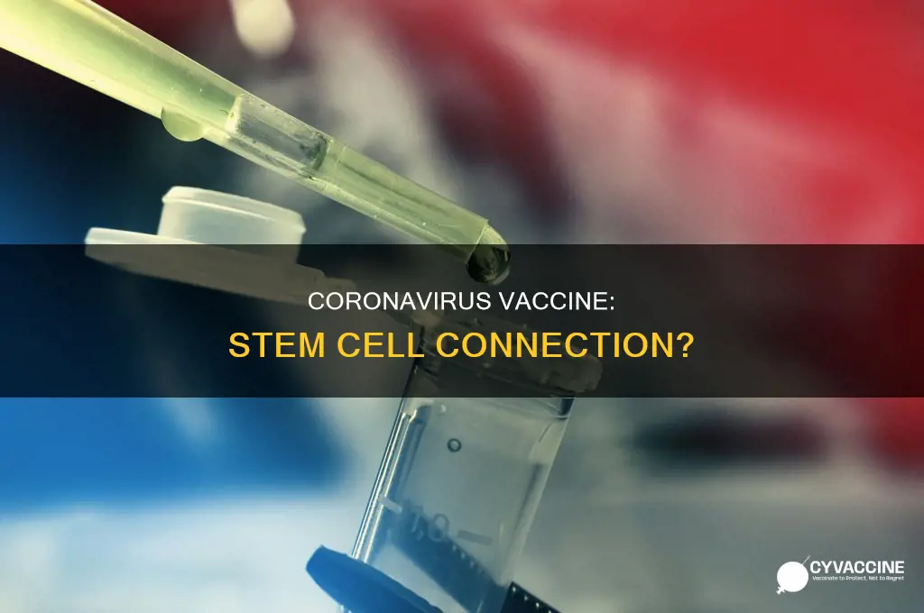 does the coronavirus vaccine have stem cells in it