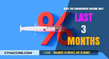 Coronavirus Vaccine: How Long Does Immunity Last?