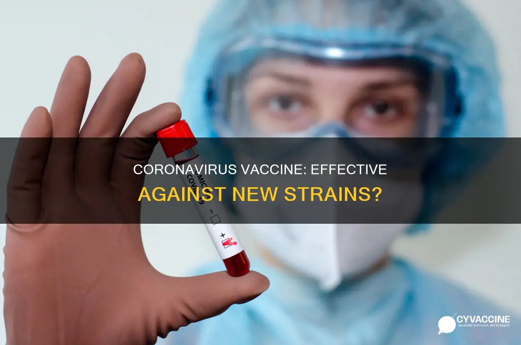 does the coronavirus vaccine prevent the new strain