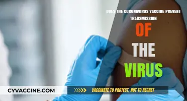 Coronavirus Vaccine: Can It Stop Virus Transmission?