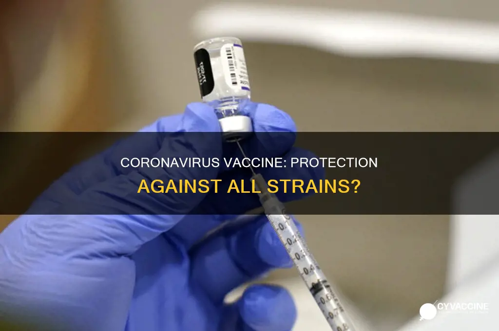 does the coronavirus vaccine protect against all strains
