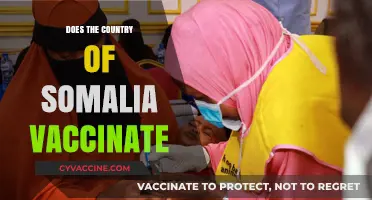 Somalia's Vaccination Efforts: Progress, Challenges, and Public Health Initiatives