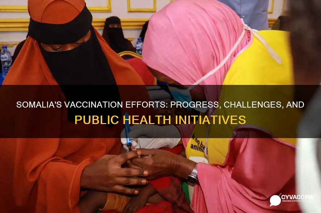does the country of somalia vaccinate