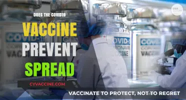 COVID-19 Vaccines: Do They Stop Transmission or Just Severe Illness?