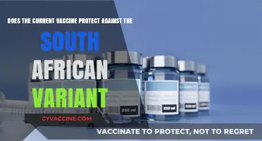 Vaccine Efficacy: South African Variant Protection Explored