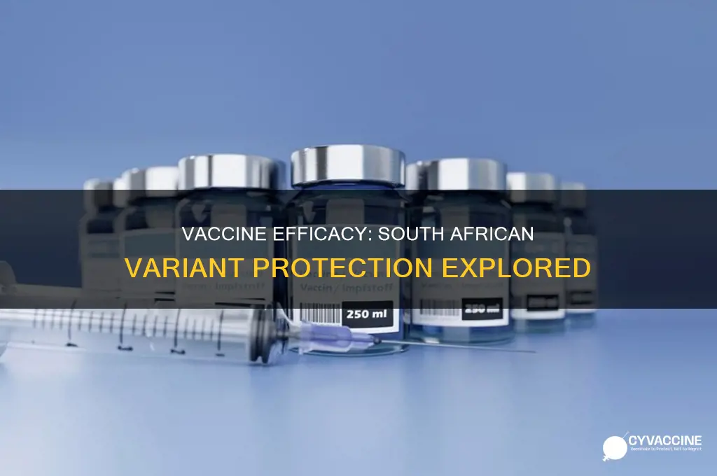 does the current vaccine protect against the south african variant