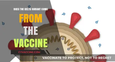 Vaccine and Delta Variant: What's the Link?