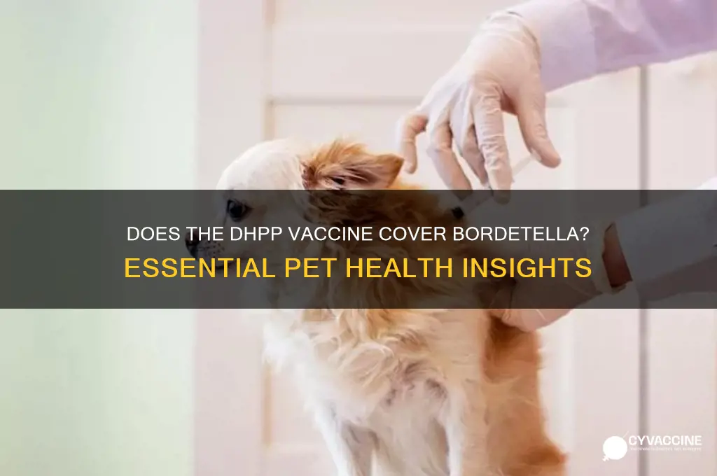 does the dhpp vaccine include bordetella