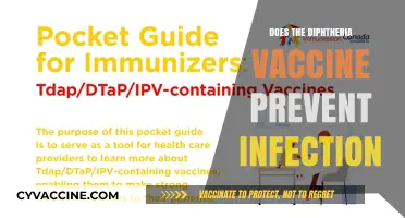 Diphtheria Vaccine: Does It Effectively Prevent Infection and Protect Health?