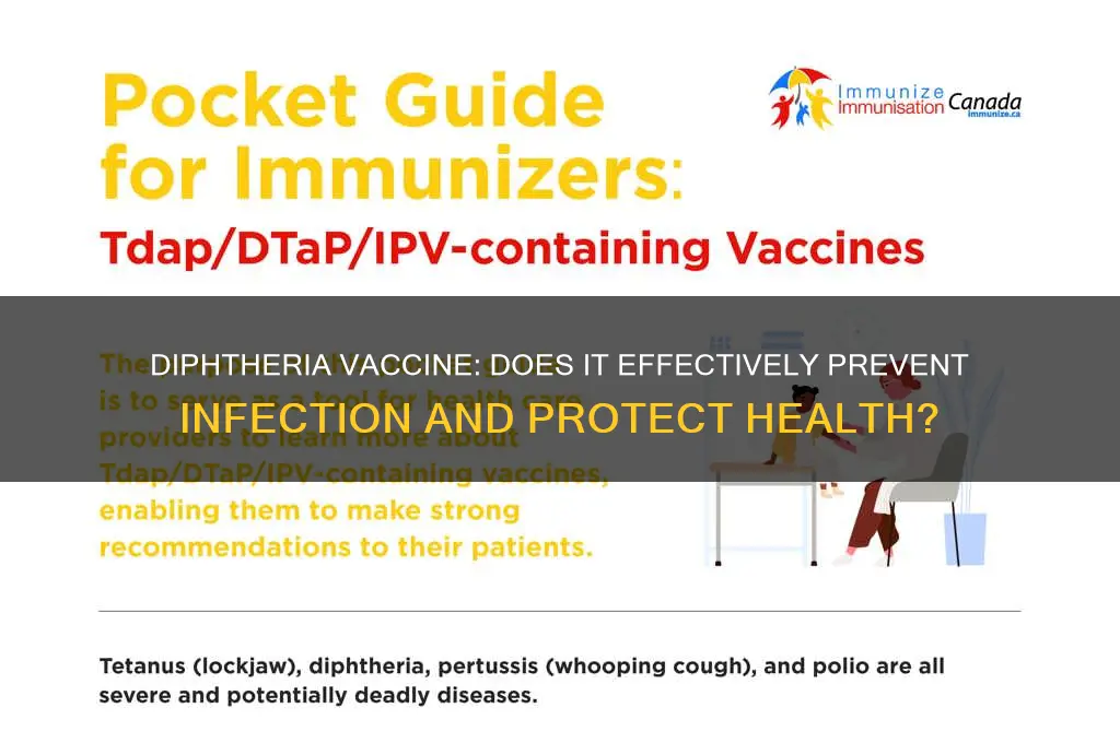 does the diphtheria vaccine prevent infection