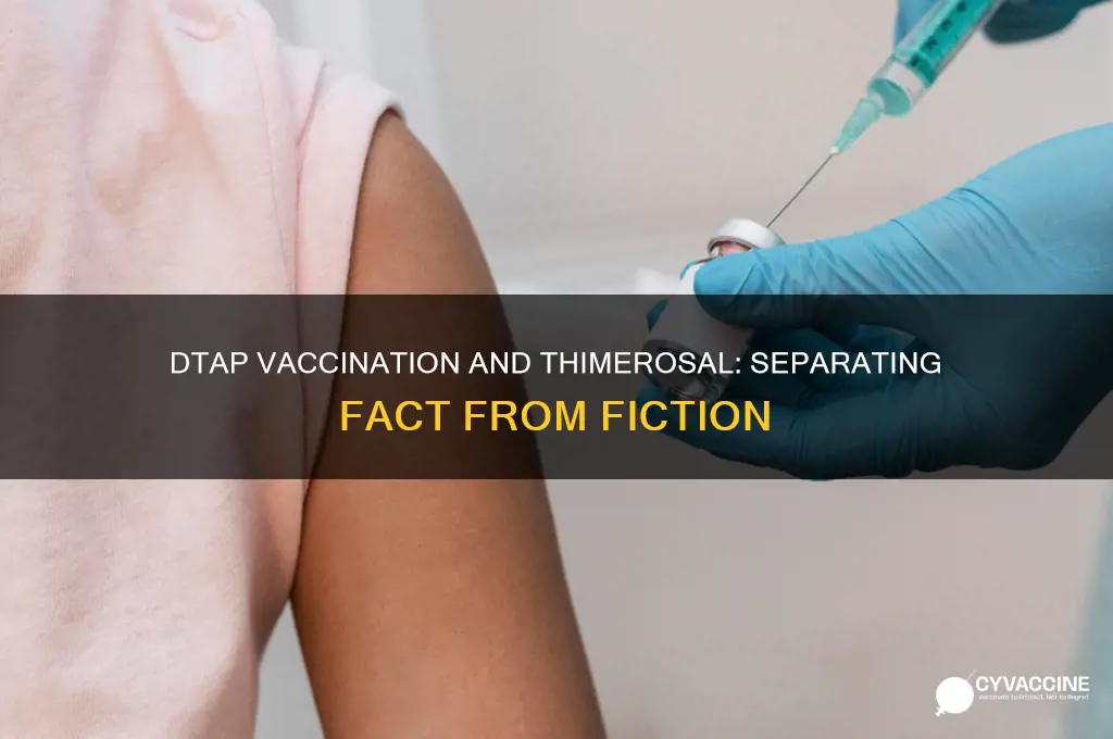does the dtap vaccination have thimerosal