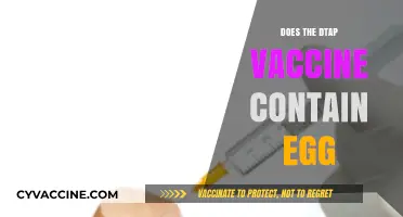 Does the DTaP Vaccine Contain Egg? Facts and Safety Explained