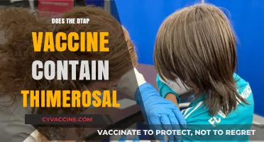 Does the DTaP Vaccine Contain Thimerosal? Facts and Safety Explained
