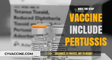 Does the DTaP Vaccine Include Pertussis? Understanding Its Components