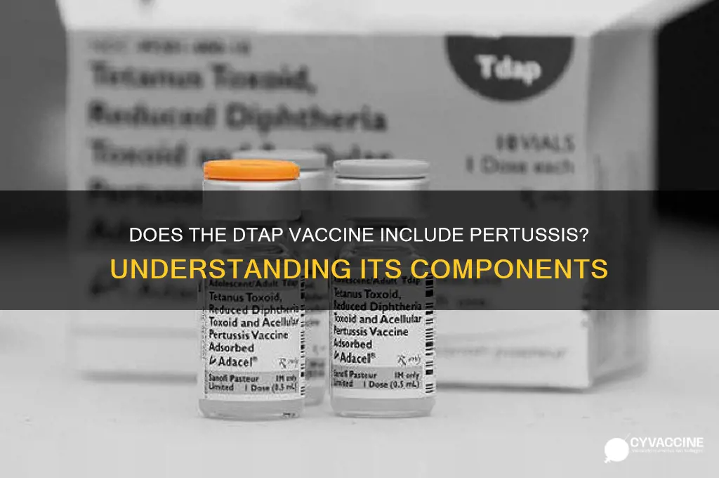 does the dtap vaccine include pertussis