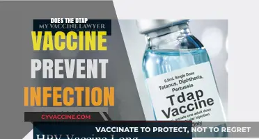 Does the DTaP Vaccine Prevent Infection? Understanding Its Role and Limits