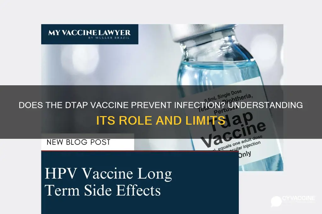 does the dtap vaccine prevent infection