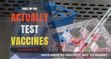 Does the FDA Test Vaccines? Uncovering the Truth Behind Approvals