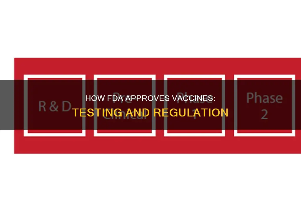does the fda do testing to approve vaccines
