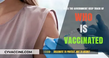 Who Tracks Vaccination Records? Government Surveillance and Privacy