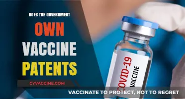 Who Owns Vaccine Patents? Government Involvement and Public Health